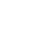 логотип dhl