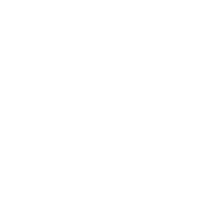 zmones logo
